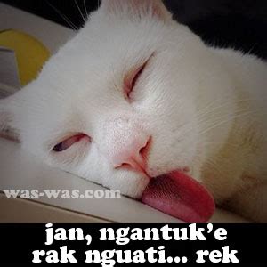 Gambar kartun lucu orang marah gambar meme 22 03 2019 gambar kartun lucu orang marah gambar meme gambar kartun lucu orang marah foto foto lucu terbaru bisa ditemui dengan gampang di internet sebab saat ini sudah banyak sekali netizen yang gemar menumpahkan. Gambar Kata-kata Animasi Ngantuk Lucu Banget - WAS-WAS.com ...