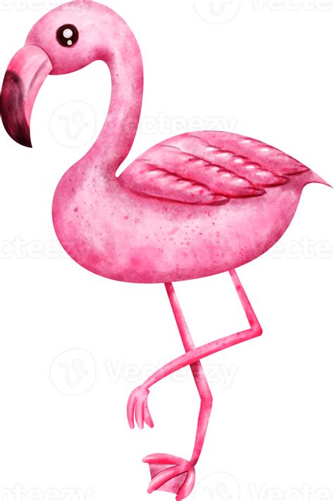 Free Watercolor Flamingo Clip Art 23322585 Png With Transparent Background