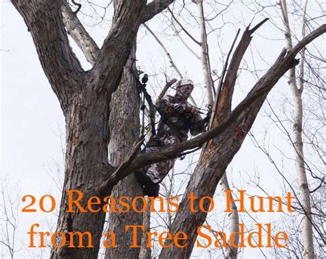 20 Reasons Why You Should Hunt From A Tree Saddle Tree Stand Hunting