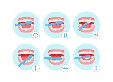 Best Technique For Brushing Teeth Cleaning Your Teeth