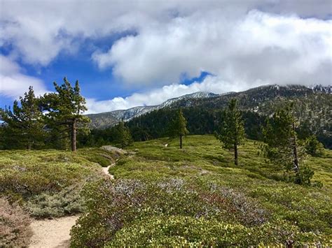 Sanbernardinopeak 37 San Bernardino Peak Hike 2018 Flickr