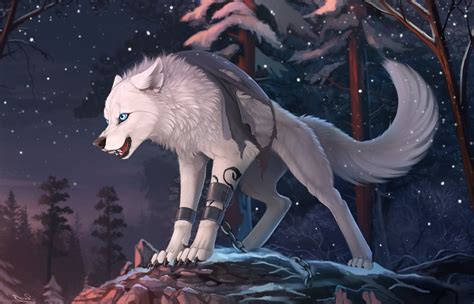 Anime Wolf Wallpapers 78 Background Pictures