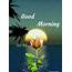 Good Morning Pictures Images Graphics  Page 3