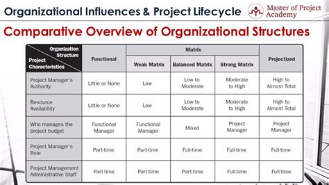 Organizational Structures What Are The Advantages And The