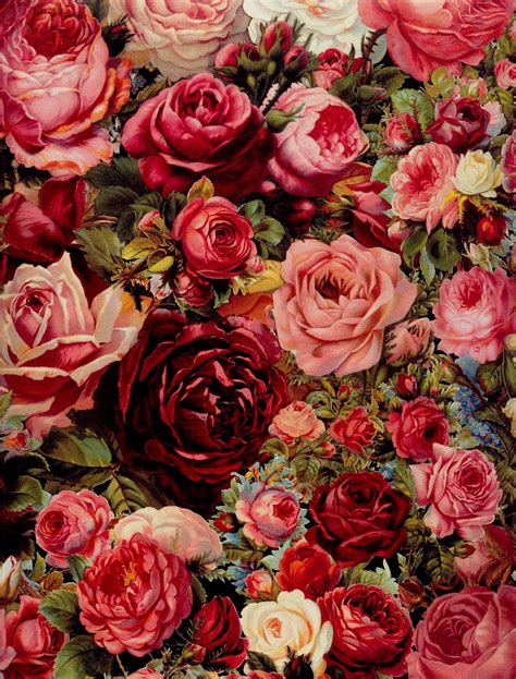 Tổng Hợp 777 Wallpaper Vintage Rose Đẹp Hoàn Hảo Cho Màn Hình