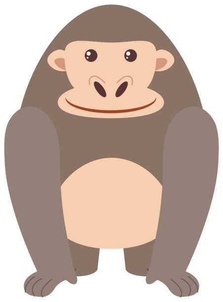 Fat Monkey Cartoon Illustrations Royalty Free Vector Graphics And Clip