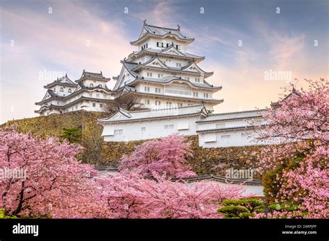 Himeji Japan At Himeji Castle In Spring With Cherry Blossoms In Full