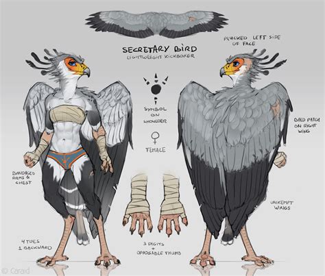 Secretary Bird By Caraid Fur Affinity Dot Net