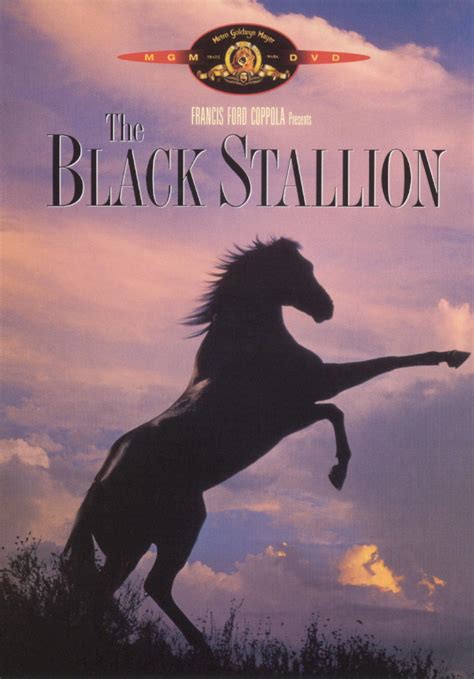 The Black Stallion Dvd 1979 Best Buy