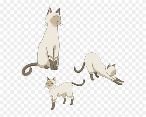 Kenny A White Cat Who Is Akanes Familiar Flying Witch Anime Cat Hd
