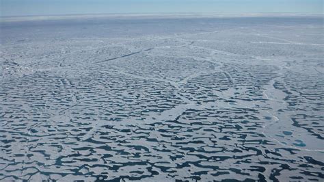 Global Heating Driven Ice Melt Could Result In Blooms Of Potentially