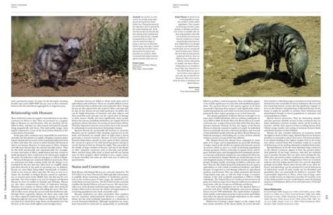 Handbook Of The Mammals Of The World Volume 1 Lynx Edicions Sea