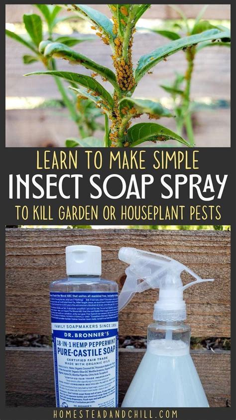 How To Make Insecticidal Soap For Plants Tiket Extra