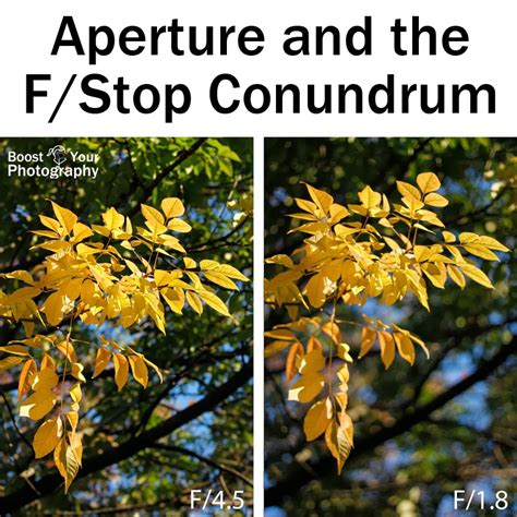 Aperture And The Fstop Conundrum Boost Your Photography