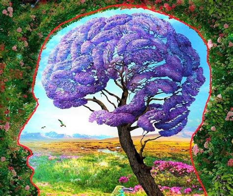 What Is A Mind Garden And How Does It Help Me Conscious Reminder