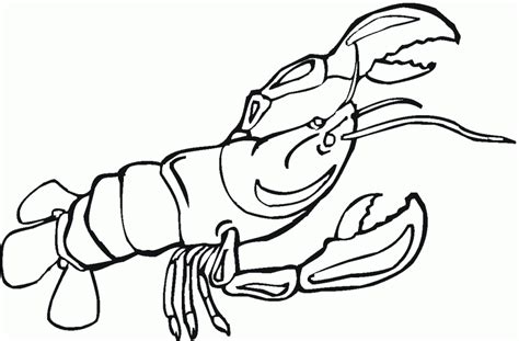 Lobster Coloring Pages LeanderRajveer