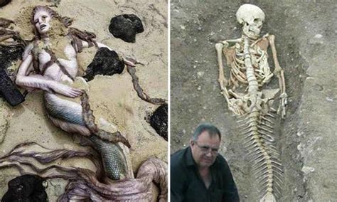 Real Life Mermaid Found Proved It Is Real In 2017 Real Life Mermaids Real Life Mermaid