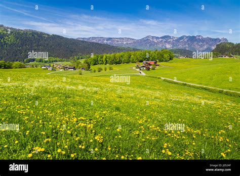 Hills And Meadows Hi Res Stock Photography And Images Alamy