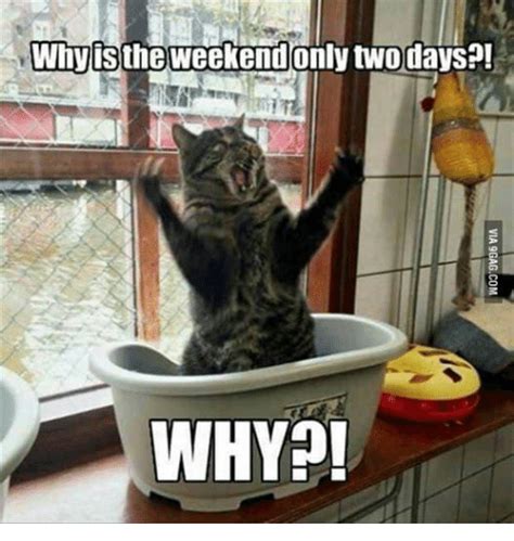 Whyisthe Weekendonly Two Days Why Grumpy Cat Meme On Meme