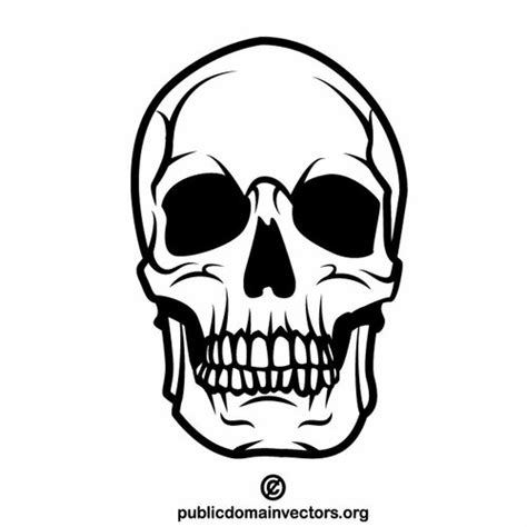 Crânio Humano Vetor Clip Art Vectores De Domínio Público