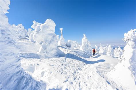 Winter Blessings In Eastern Japan Onsens Snow Monsters