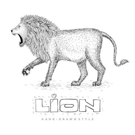 Premium Vector Vector Of A Lion Walking Hand Drawn Animal Illustration