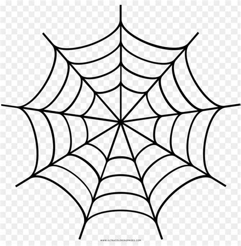 Spider Web Drawing Desenho De Teia De Aranha Para Colorir PNG Image