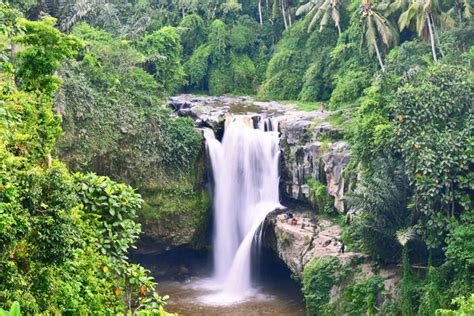 Top Waterfalls In Bali — 10 Most Beautiful And Best Waterfalls To Visit