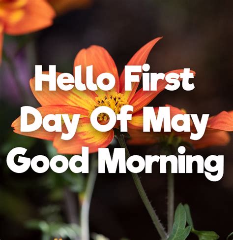 Hello First Day Of May Good Morning Pictures Photos And Images For