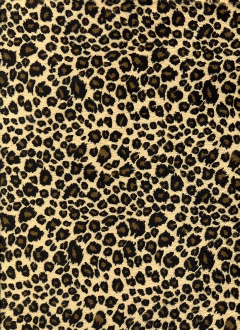 Leopard Pattern Wallpapers Top Free Leopard Pattern Backgrounds
