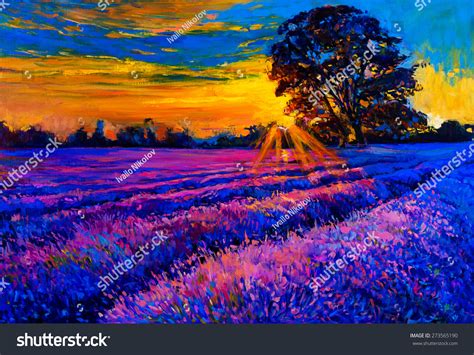 Original Oil Painting Of Lavender Fields On Canvas Sunset Over