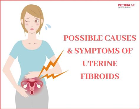 Possible Causes And Symptoms Of Uterine Fibroids
