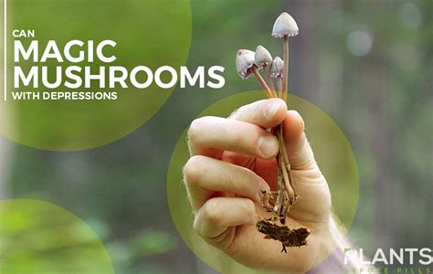 Can Magic Mushrooms Help with Depression? - Plants Before Pills