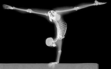 Human Skeleton X Rays Gymnastics Bones Handstand Hd Wallpaper