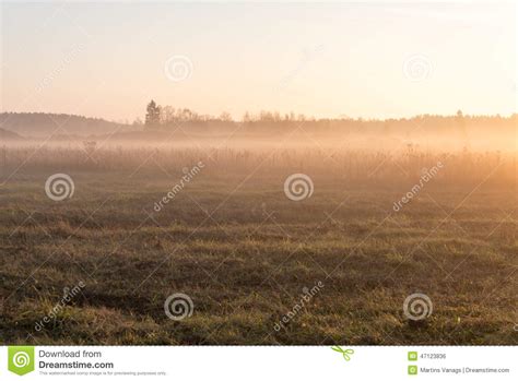 Beautiful Misty Meadow In The Morning Frost Stock Photo Image Of