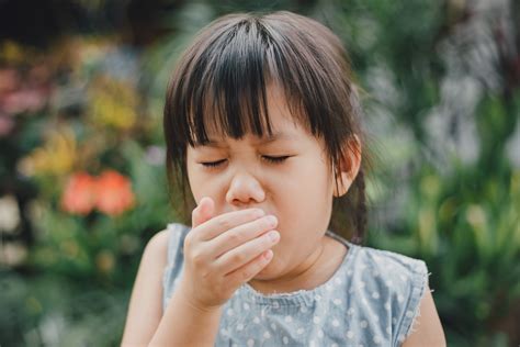 Bodrexin Penyebab Anak Batuk Pilek Terjadi Berulang Alergi Atau