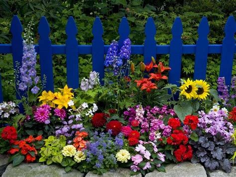 Imágenes De Flores Bonitas Que Puedes Plantar En El Jardín