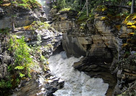Free Download Hd Wallpaper Athabasca Falls Rocky Mountain Canada