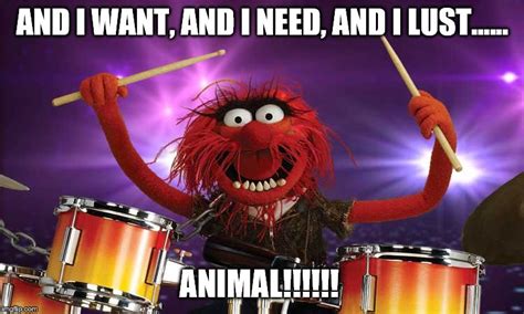 Animal The Muppets Imgflip