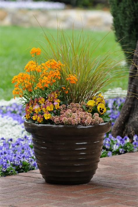 Discover Fall Container Garden Recipes Filled With Plants Like Pansies