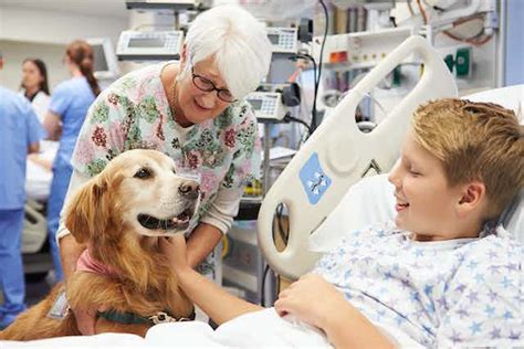 How Can Therapy Dogs Help Humans