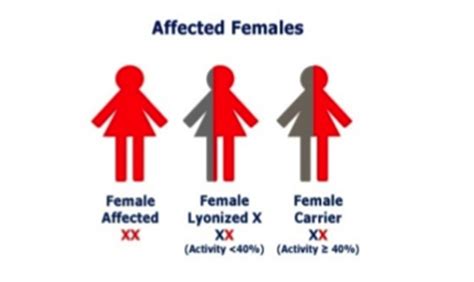 Because of the lyonization, inactivation, and formation of barr bodies in all female cells, only one x chromosome is active. Congenital Hemophilia A and B
