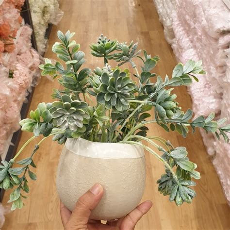 Our home décor category offers a great selection of artificial plants and more. KAISON Artificial Plant 💖 | Shopee Malaysia