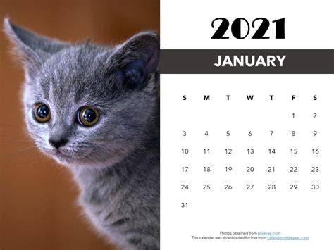 Free Printable Kitten Calendar 2021 Calendars Of The Year