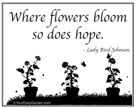 We did not find results for: Hope Quotes For The Flowers. QuotesGram