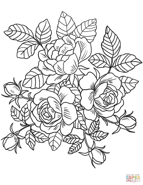 Roses Flowers Coloring Page Free Printable Coloring Pages