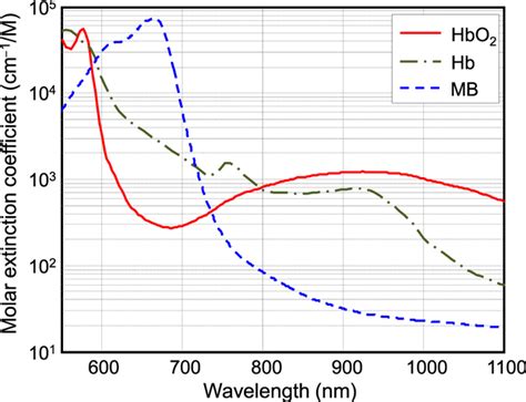 Molar Extinction Coefficient Of Oxy Hemoglobin Hbo2 And Download