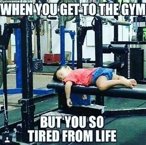 65 funny gym quotes and sayings of all time daily funny quotes