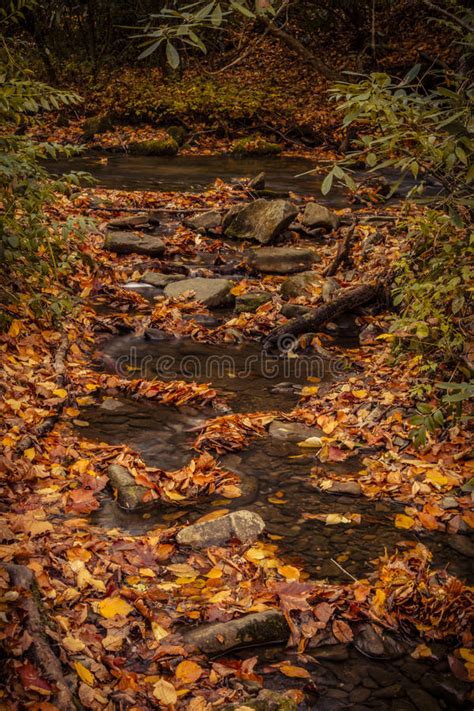 Fall In Great Smoky Mountains National Park Stock Photo Image Of