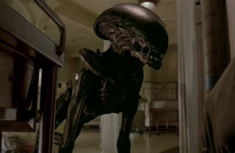 Xenomorph Types Alien Lifecycle And All Variants 2023